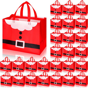 Christmas Santa Reusable Gift Bag