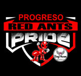 DTF Print * Back to school * School Pride (HIGH SCHOOLS)