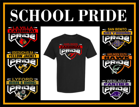 DTF Print * Back to school * School Pride (HIGH SCHOOLS)