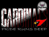 DTF Print * BacK To School * School Pride * PRIDE RUNS DEEP (HIGH SCHOOLS)