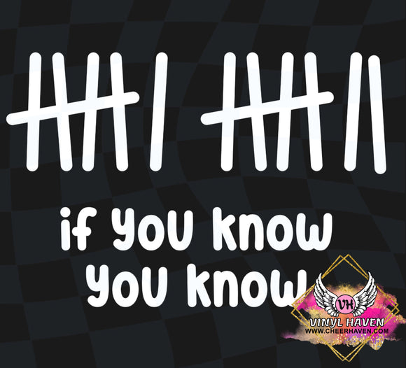 DTF Print * Fun Prints * If you know you know 6 7