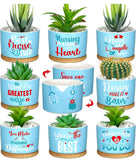 NURSE APPRECIATION * 3" Mini succulent plant pot ONLY ( PLANT NOT INCUDED ) Website orders will be selected at random...If you'd like a specific design,  please stop by our shop