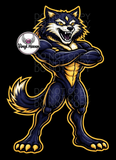 DTF Print * BacK To School * School Pride * STANDING STRONG MASCOT (HIGH SCHOOLS)