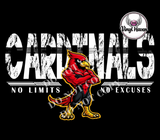 DTF Print * BacK To School * School Pride * No Limit No Excuses (HIGH SCHOOLS)