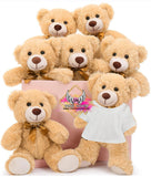 Valentines * 13.5" Teddy Bear with or without shirt