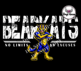 DTF Print * BacK To School * School Pride * No Limit No Excuses (HIGH SCHOOLS)