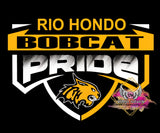 DTF Print * Back to school * School Pride (HIGH SCHOOLS)